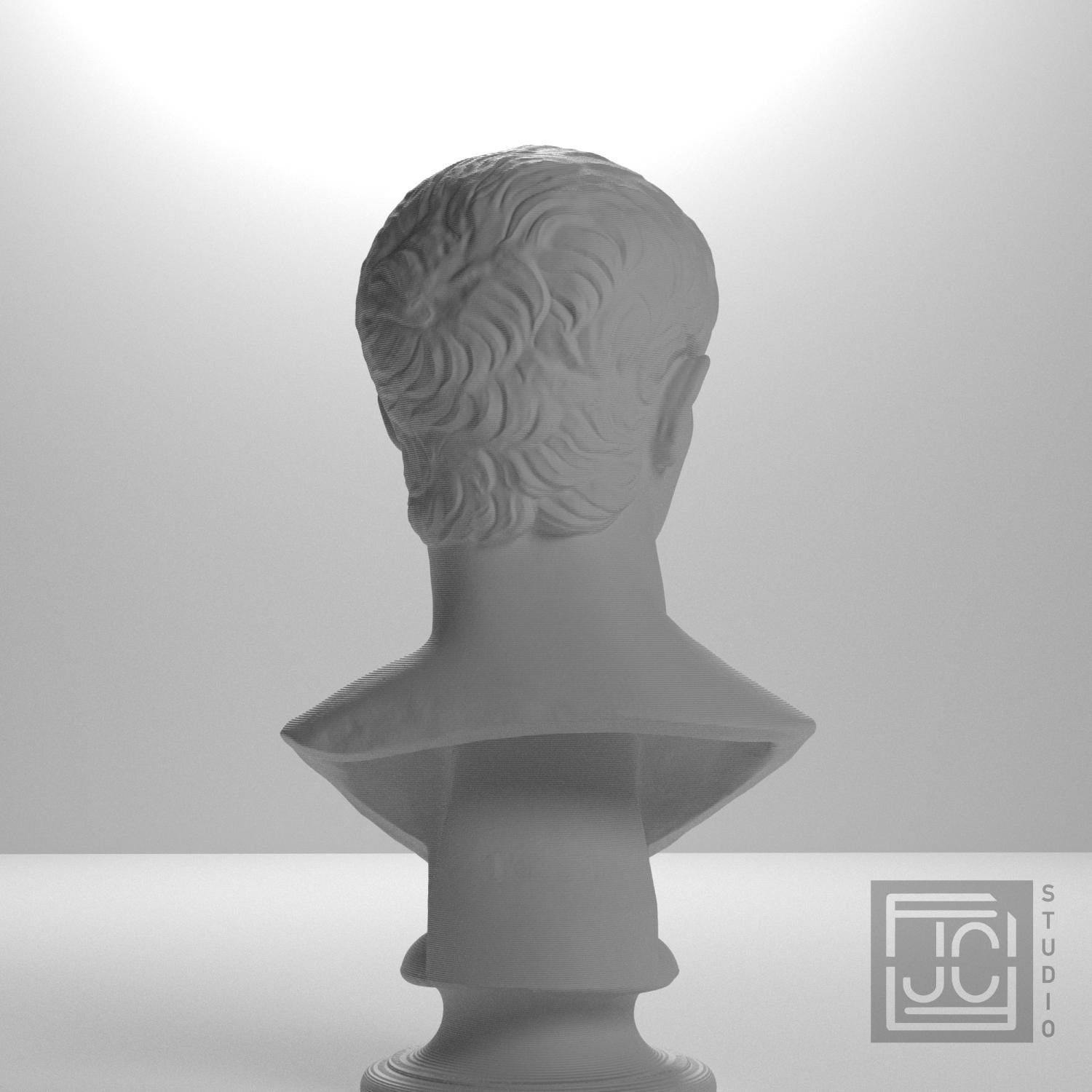 Portrait of an Augustine Prince Marcellus (?) supplemental reference photo 9