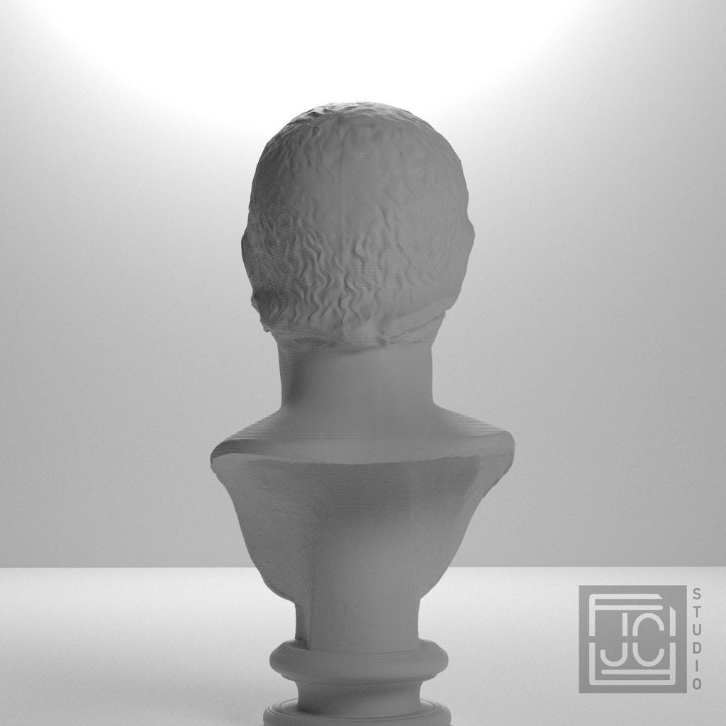 Drusus Julian-Claudian prince supplemental reference photo 9
