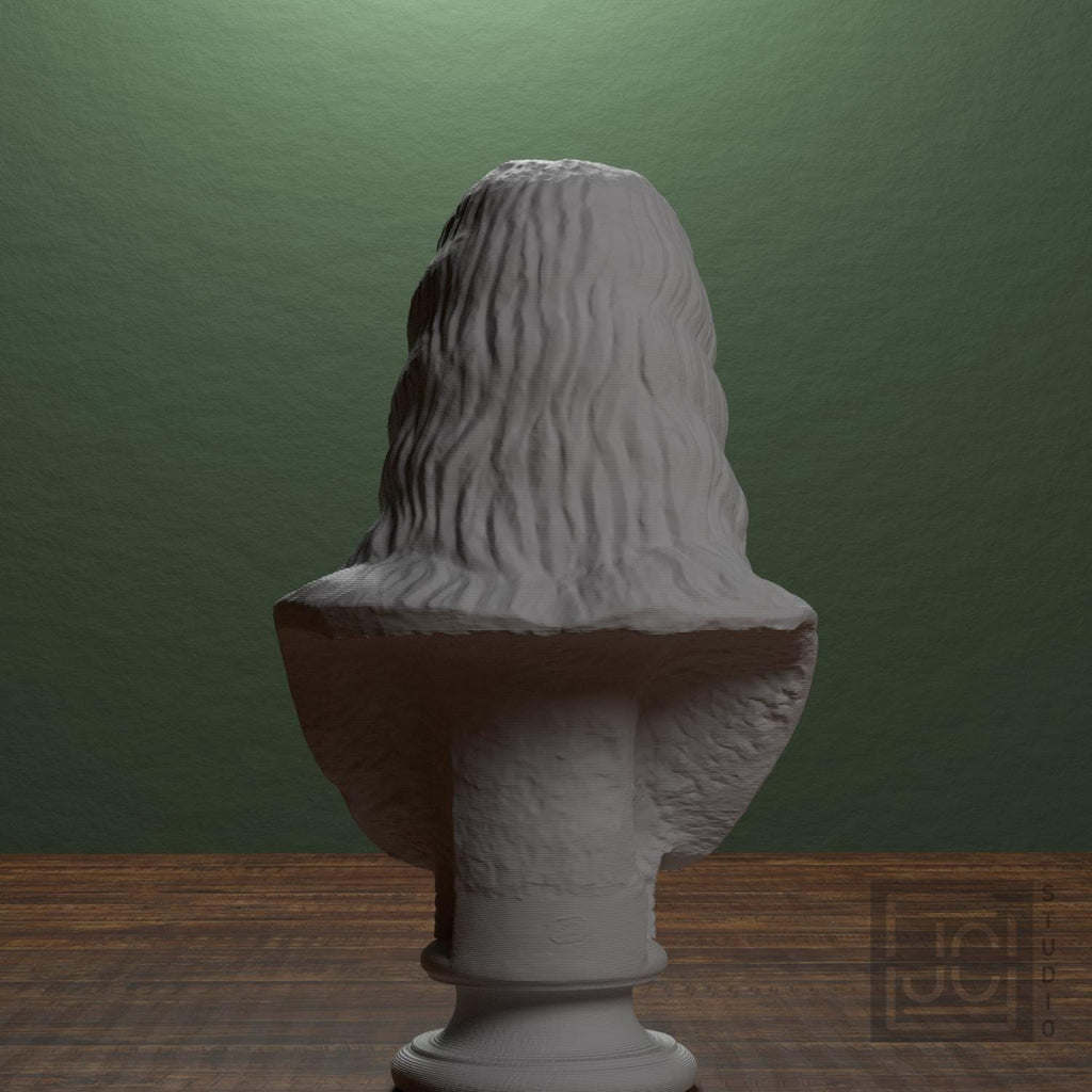Bust of a Barbarian Woman supplemental reference photo 3