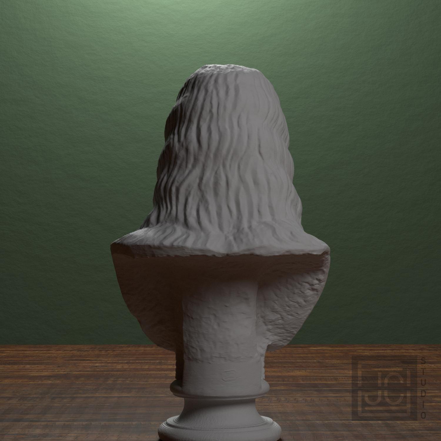 Bust of a Barbarian Woman supplemental reference photo 3