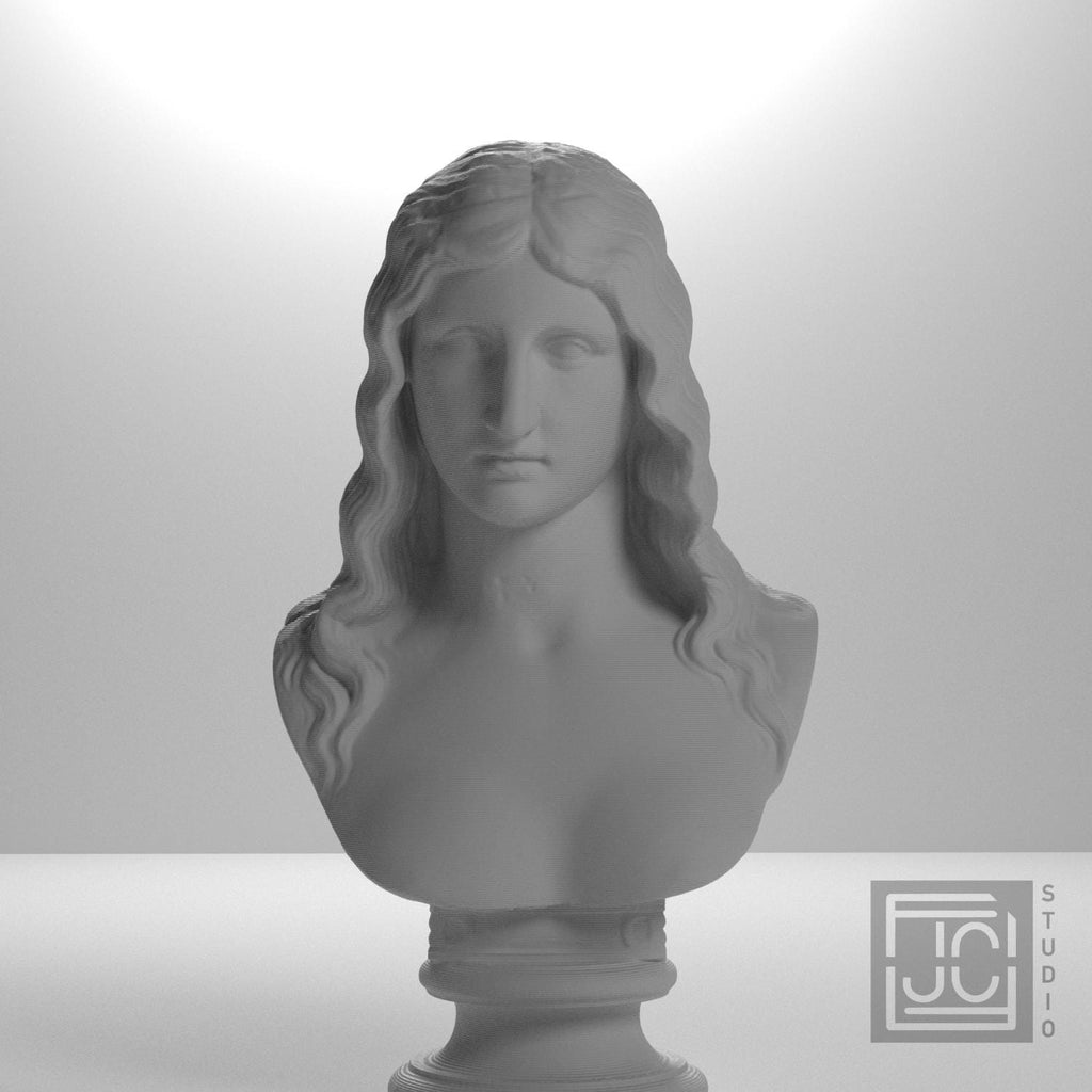 Bust of a Barbarian Woman supplemental reference photo 5