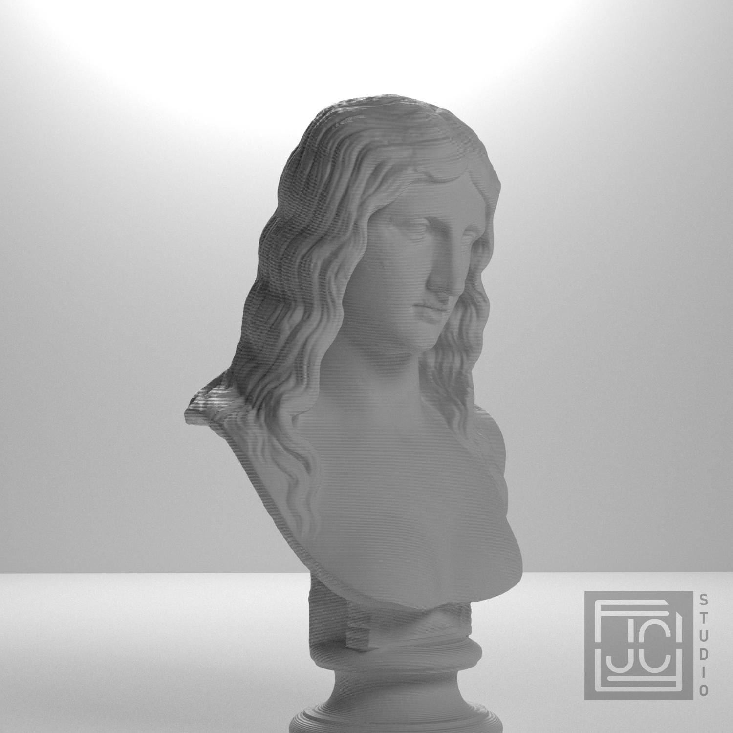 Bust of a Barbarian Woman supplemental reference photo 6