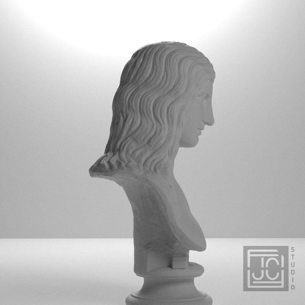 Bust of a Barbarian Woman supplemental reference photo 7
