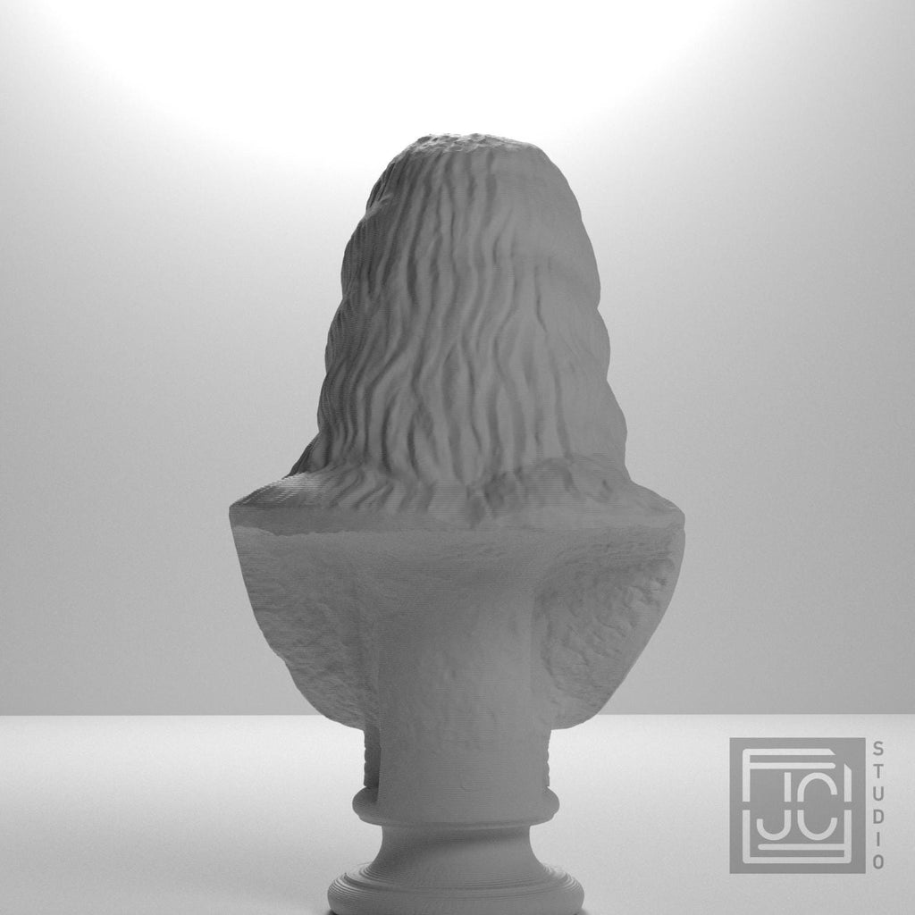 Bust of a Barbarian Woman supplemental reference photo 9