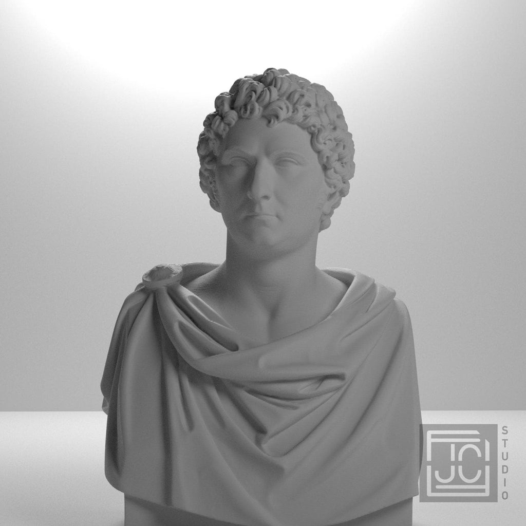 Carl XIV Johan supplemental reference photo 5