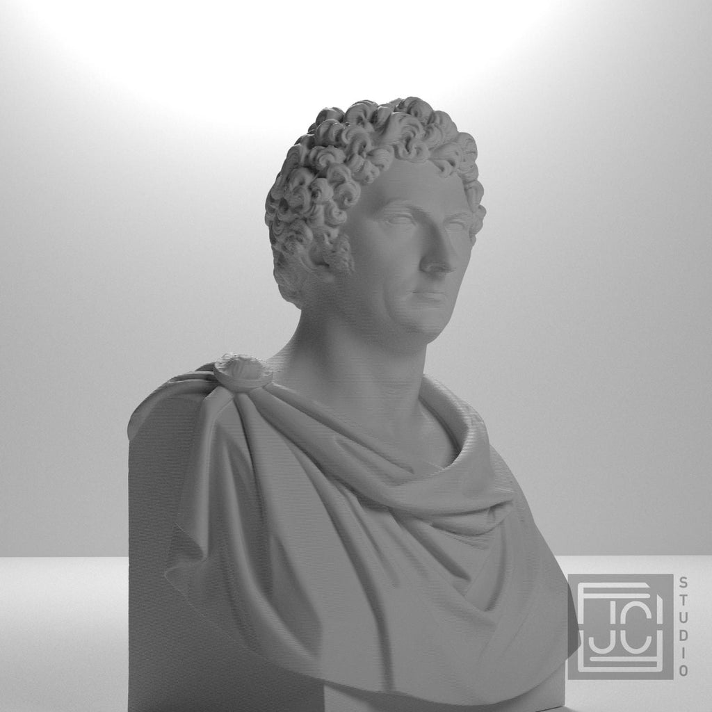 Carl XIV Johan supplemental reference photo 6