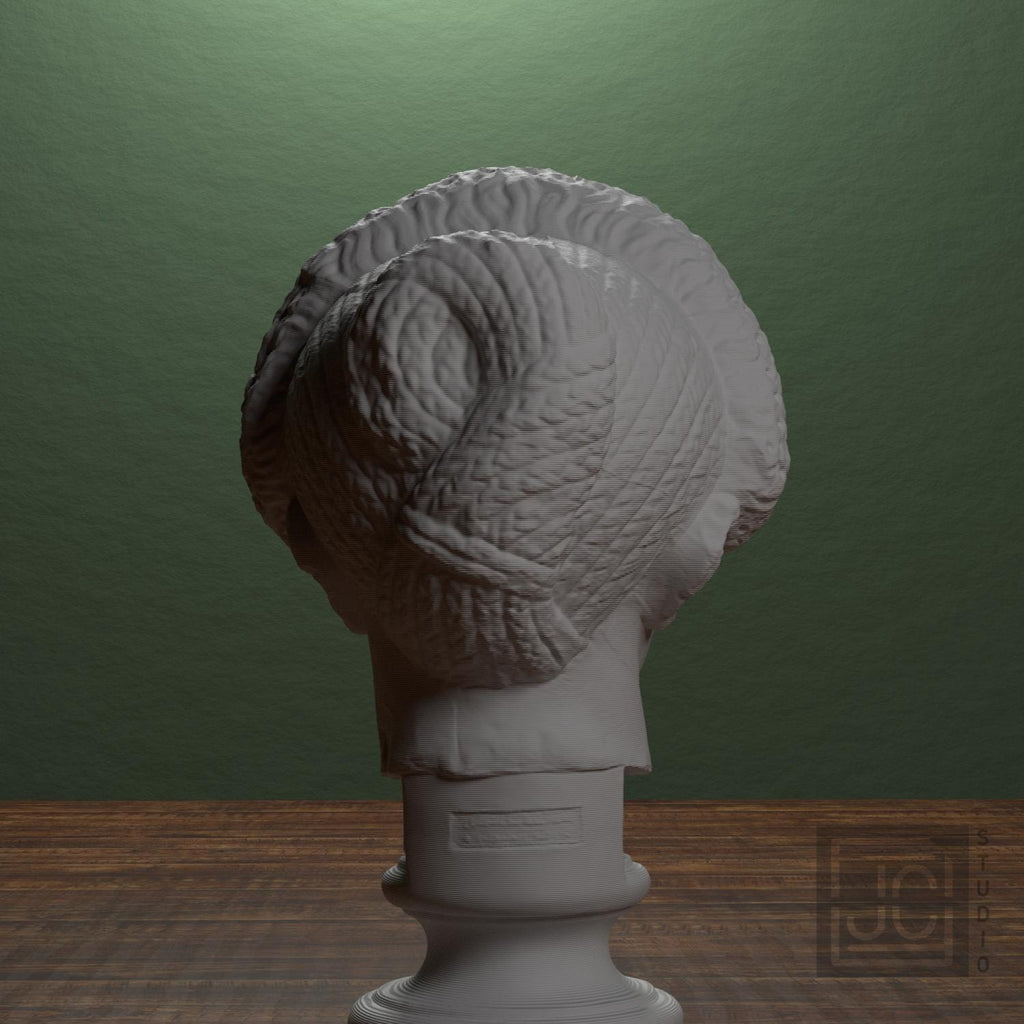Flavian Woman Young Giulia supplemental reference photo 3