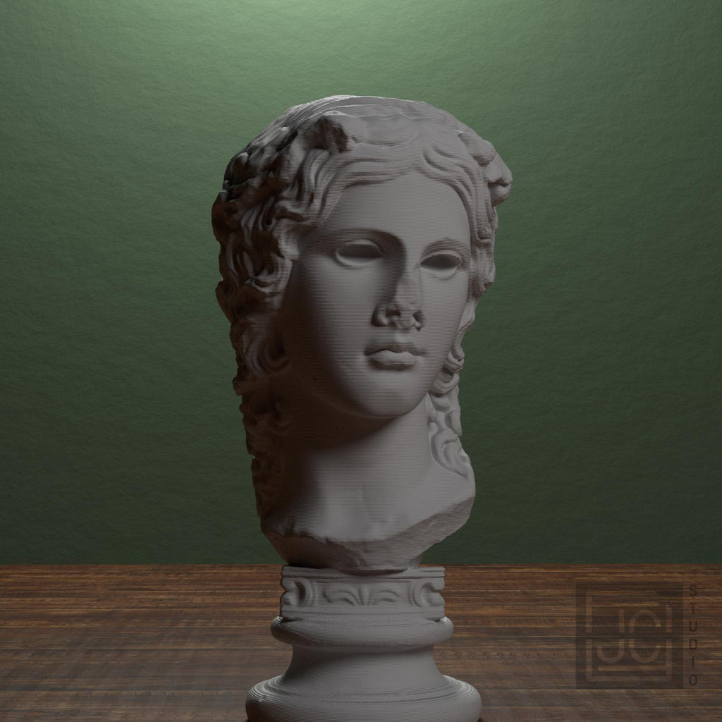 Dionysus supplemental reference photo 1