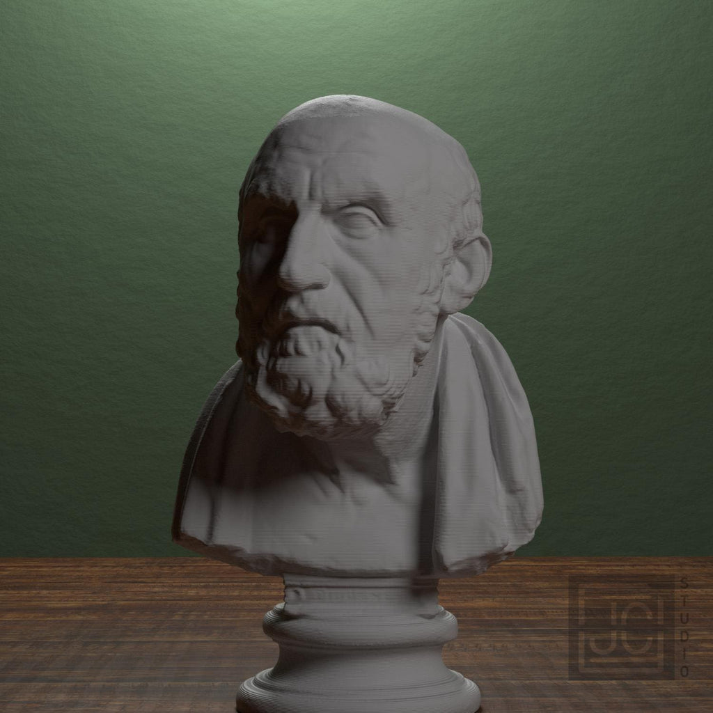 Portrait of Chrysippos supplemental reference photo 1