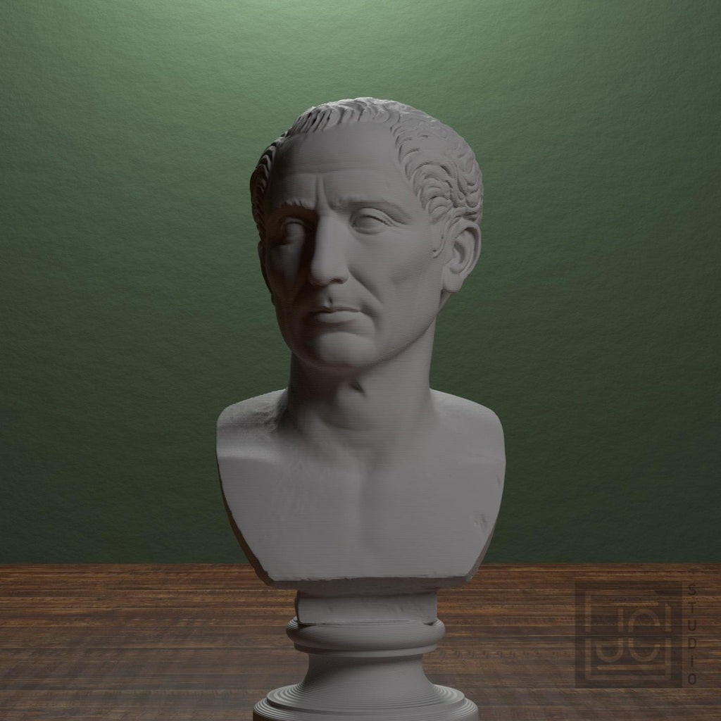 Farnese Caesar supplemental reference photo 1