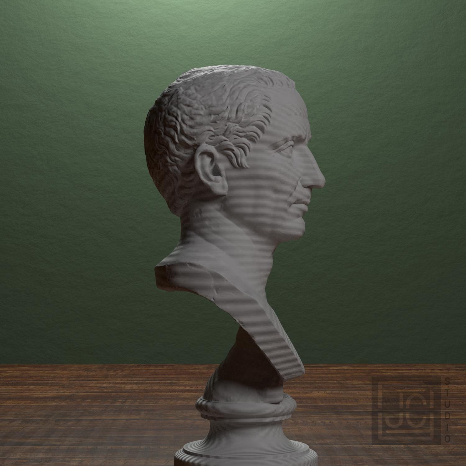 Farnese Caesar supplemental reference photo 2
