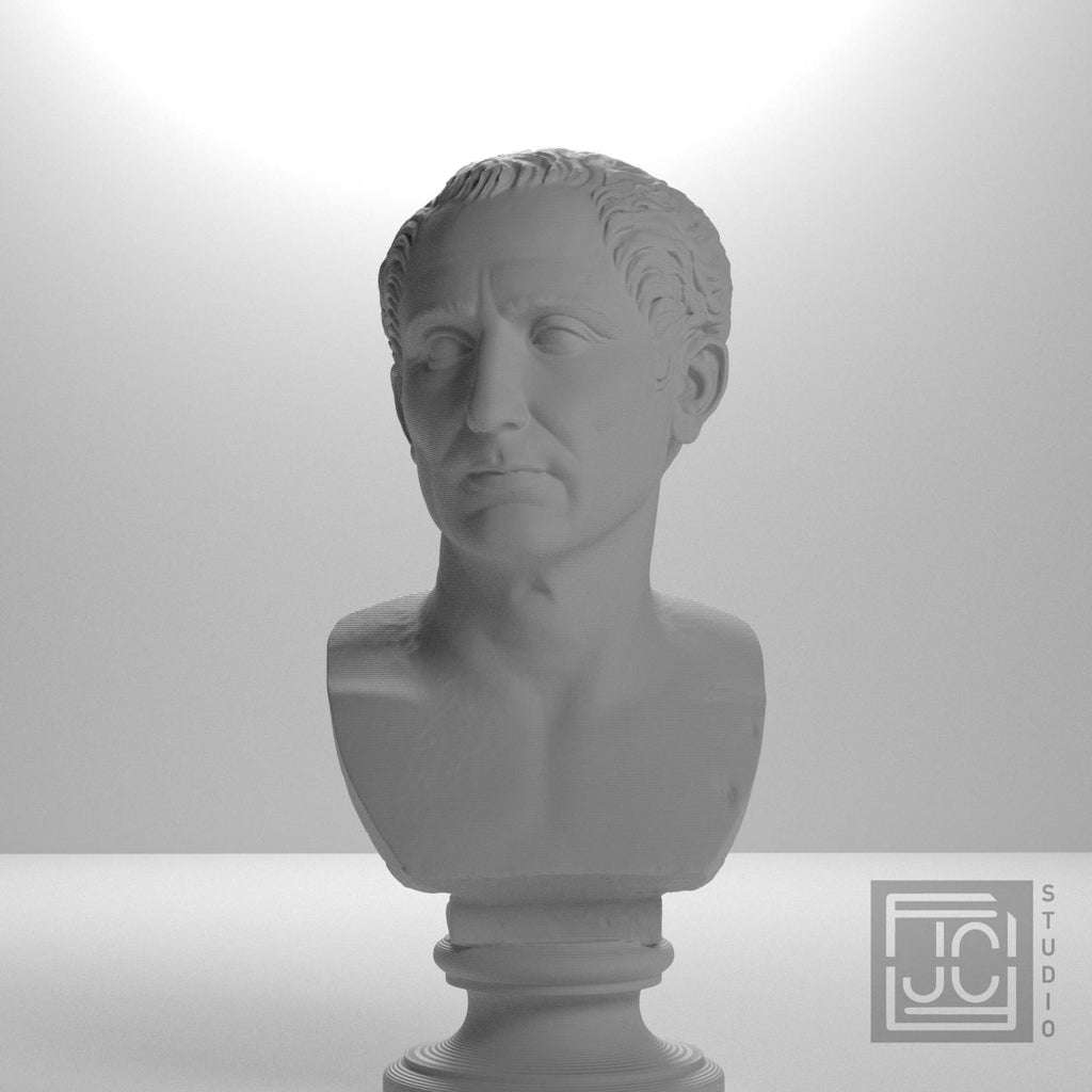 Farnese Caesar supplemental reference photo 5