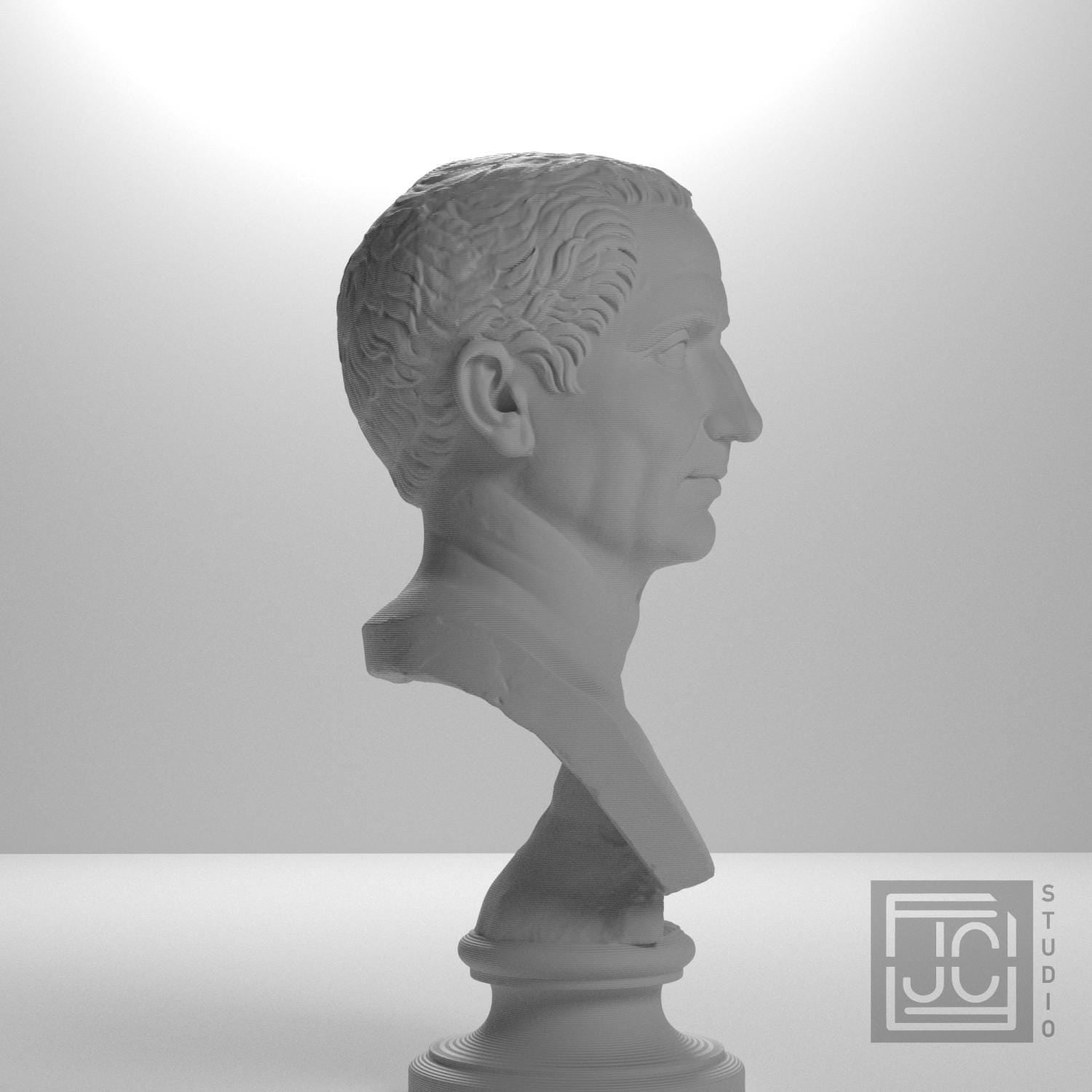 Farnese Caesar supplemental reference photo 7