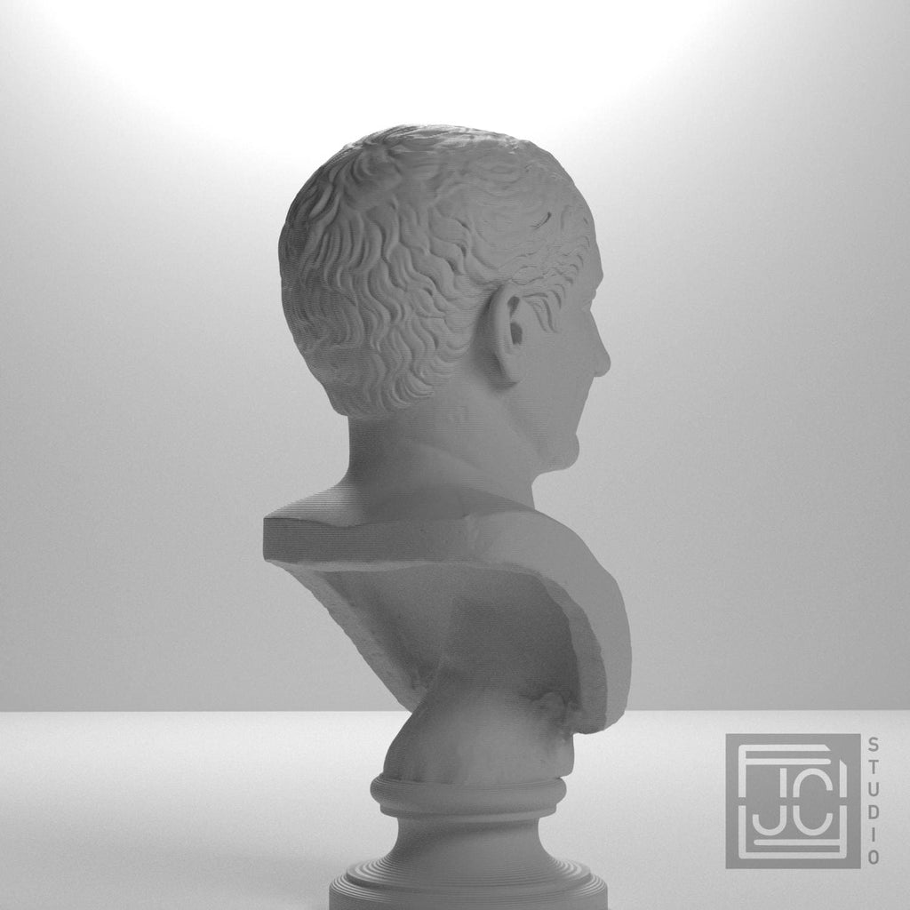 Farnese Caesar supplemental reference photo 8