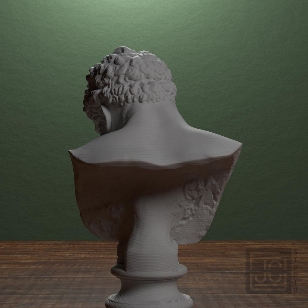 Bust of the Farnese Hercules supplemental reference photo 3