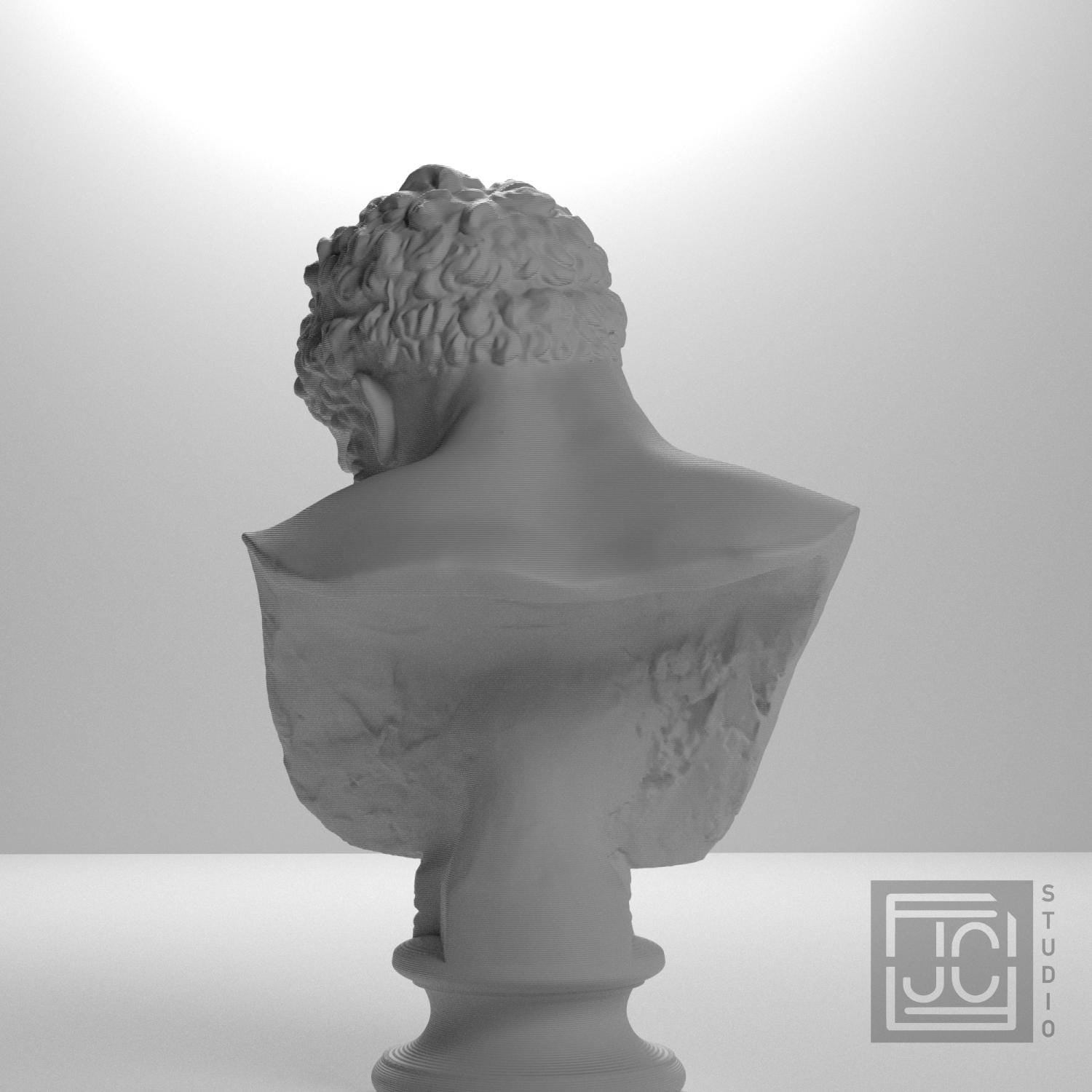 Bust of the Farnese Hercules supplemental reference photo 9