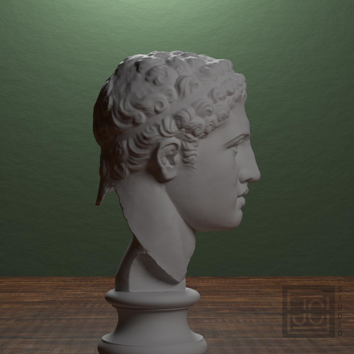 Fragmentary head of Hercules (from the Lansdowne Herakles) supplemental reference photo 2