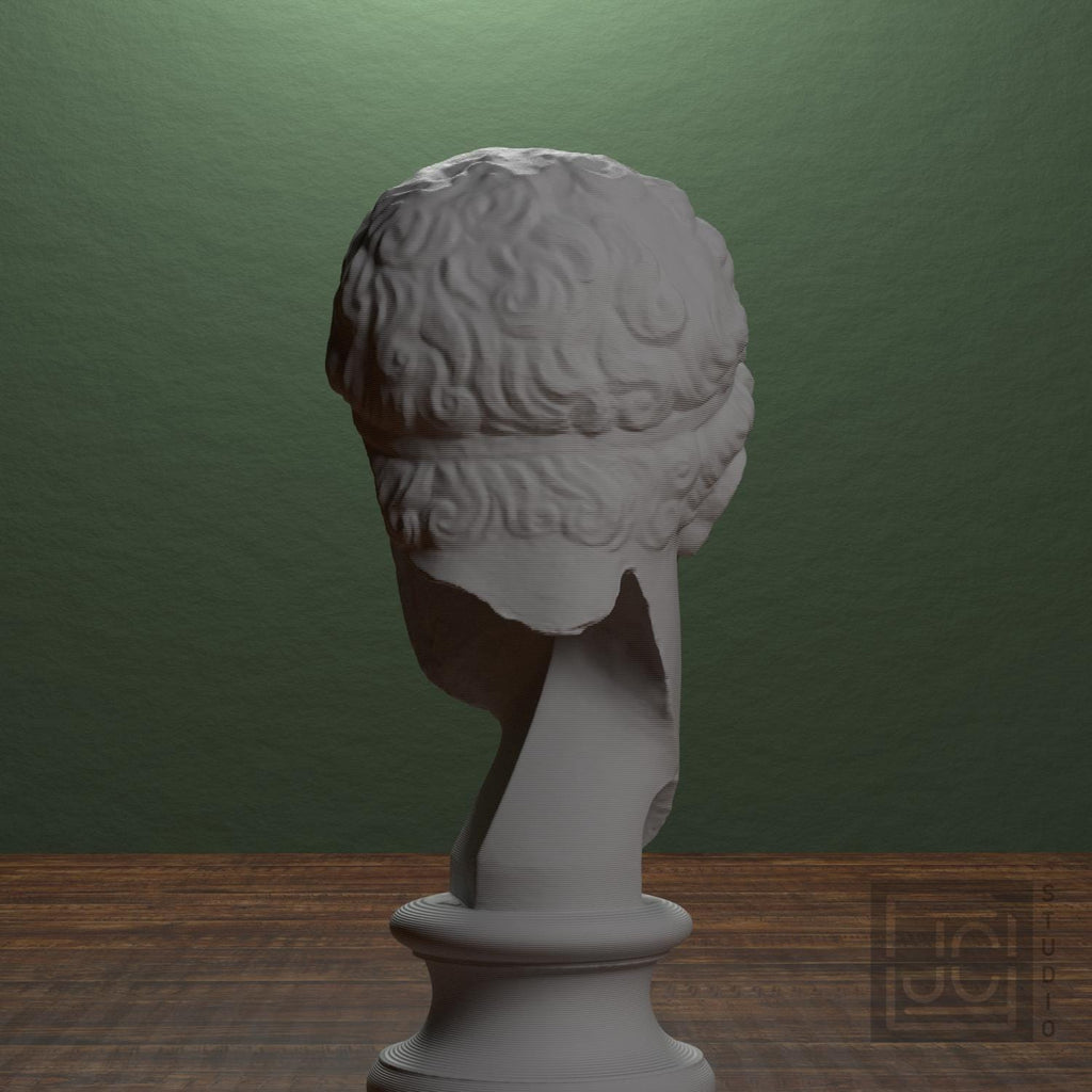 Fragmentary head of Hercules (from the Lansdowne Herakles) supplemental reference photo 3