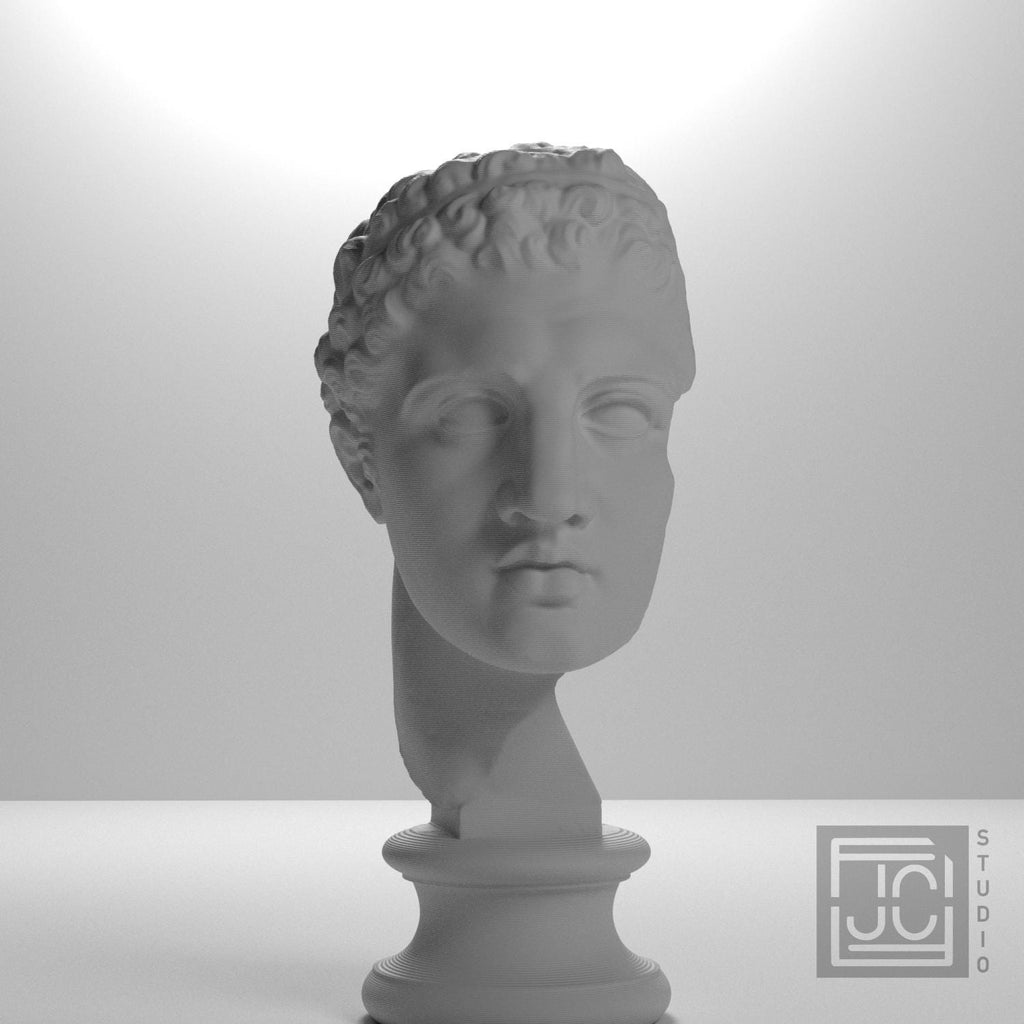Fragmentary head of Hercules (from the Lansdowne Herakles) supplemental reference photo 5
