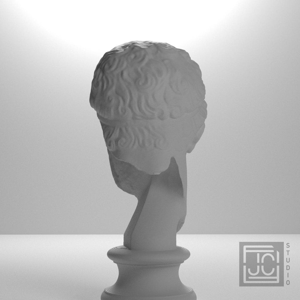 Fragmentary head of Hercules (from the Lansdowne Herakles) supplemental reference photo 9
