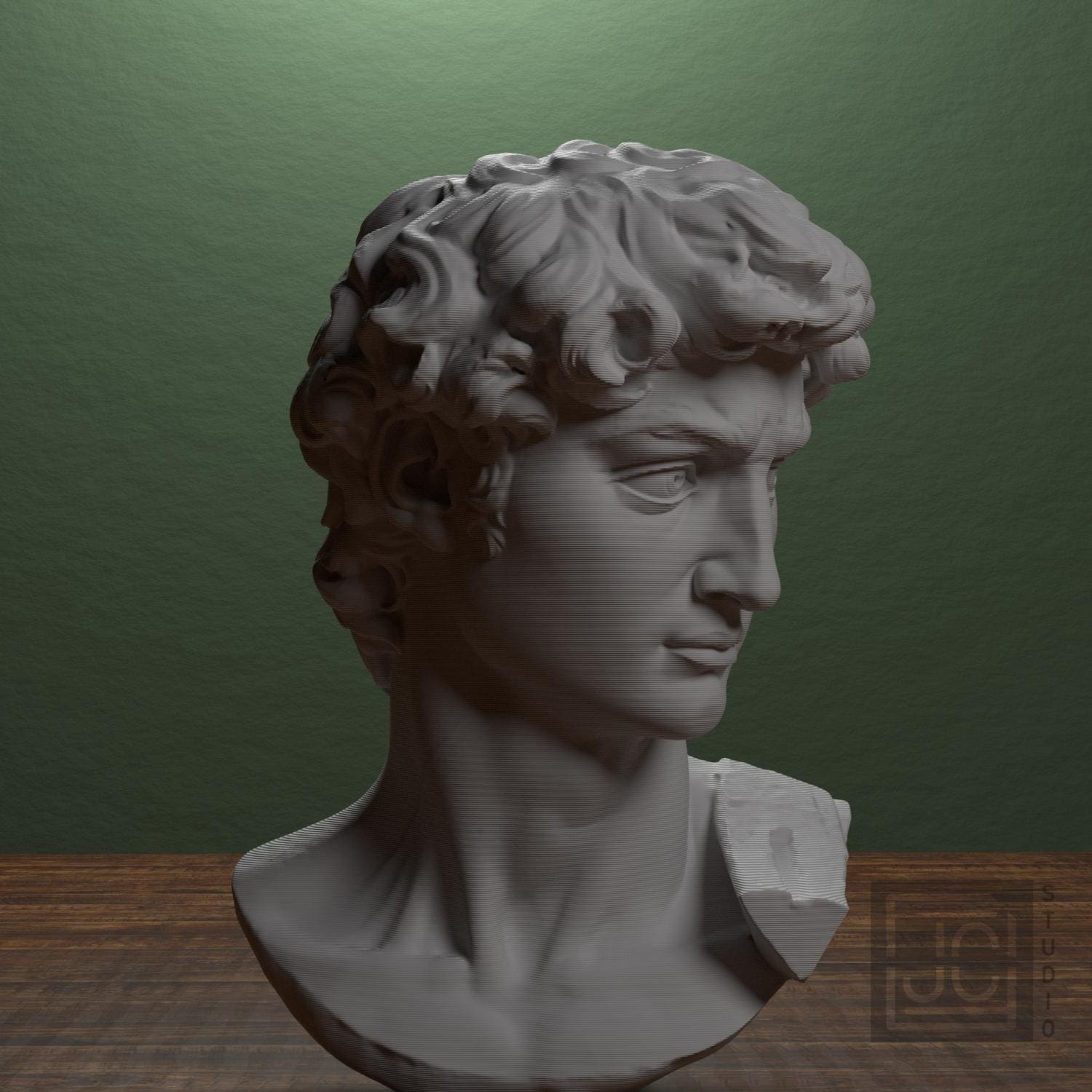 Head of Michelangelo's David supplemental reference photo 2