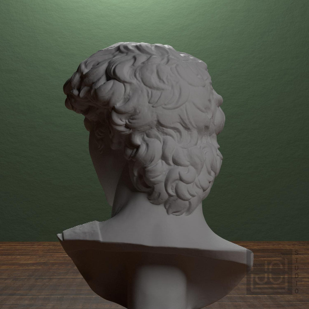 Head of Michelangelo's David supplemental reference photo 4