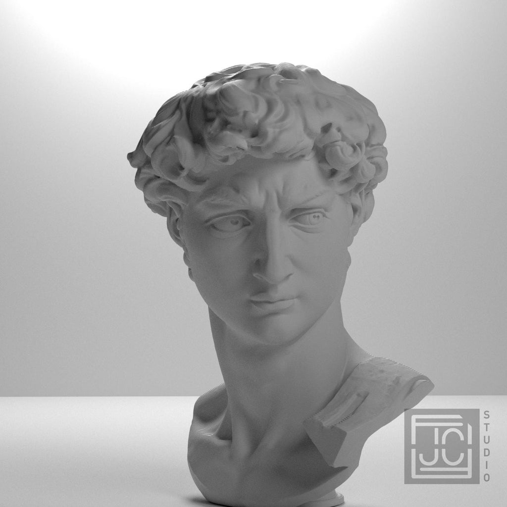 Head of Michelangelo's David supplemental reference photo 6
