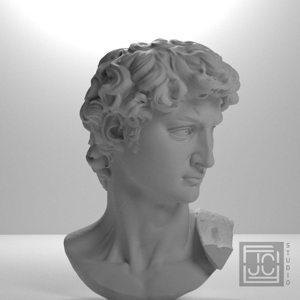 Head of Michelangelo's David supplemental reference photo 7