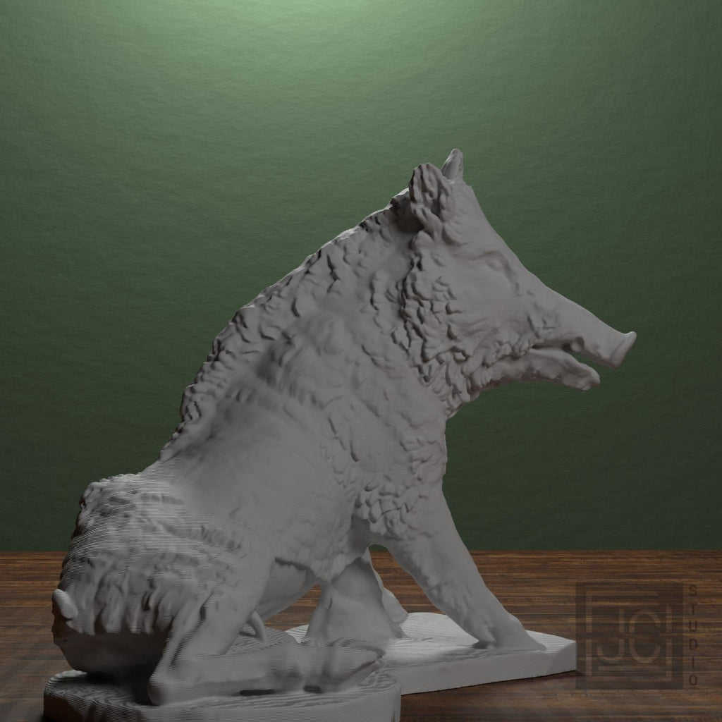 The Wild Boar Porcellino supplemental reference photo 1