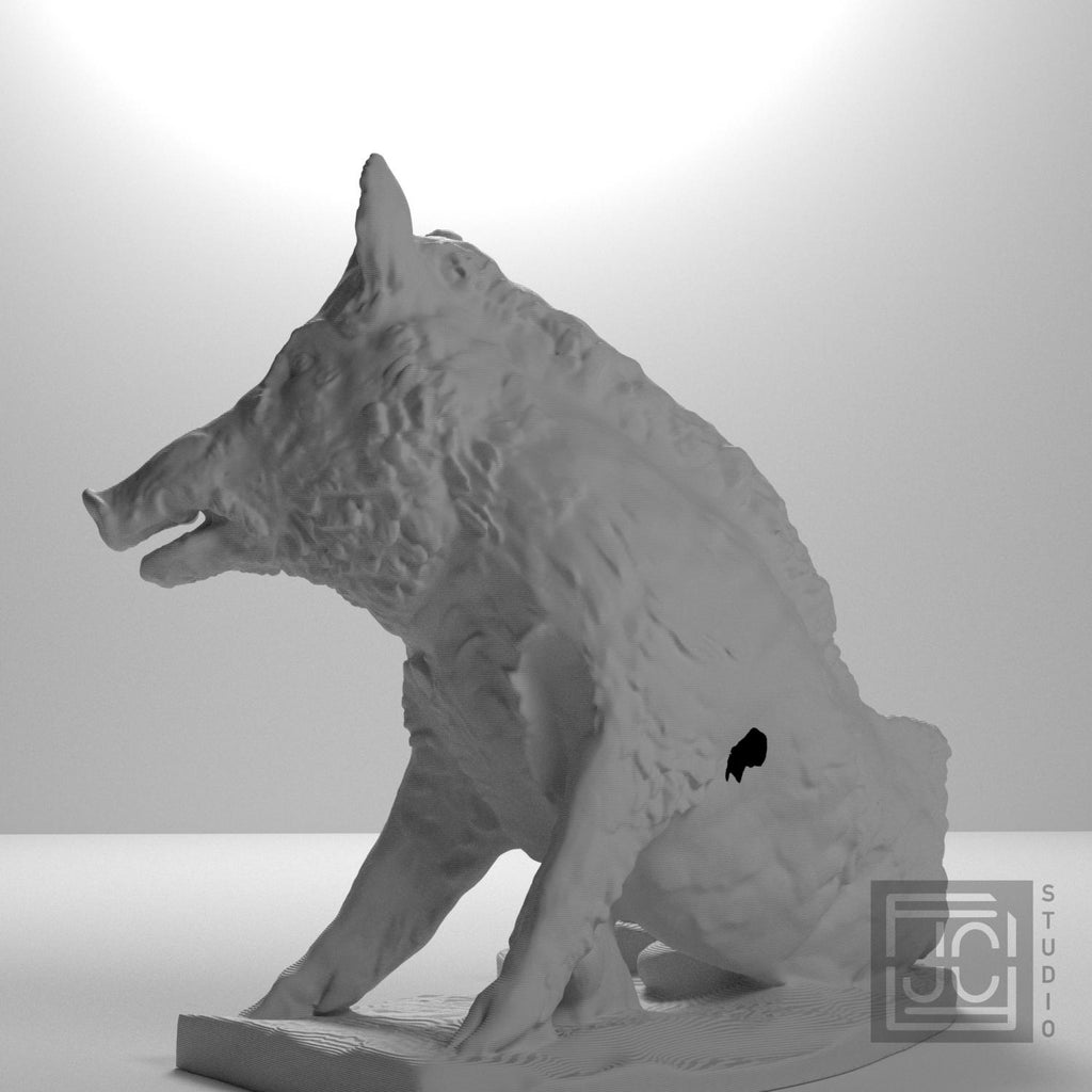 The Wild Boar Porcellino supplemental reference photo 9