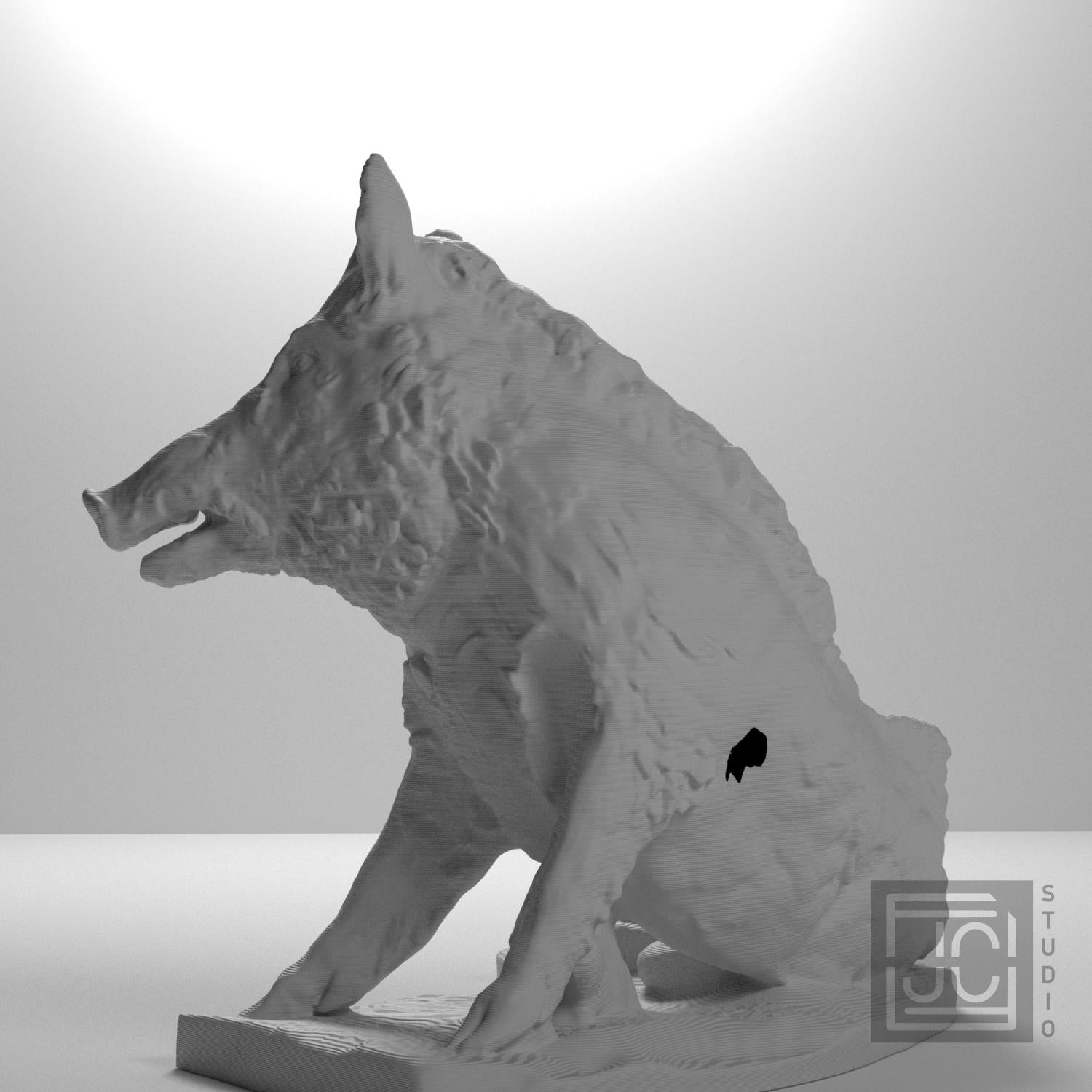 The Wild Boar Porcellino supplemental reference photo 9