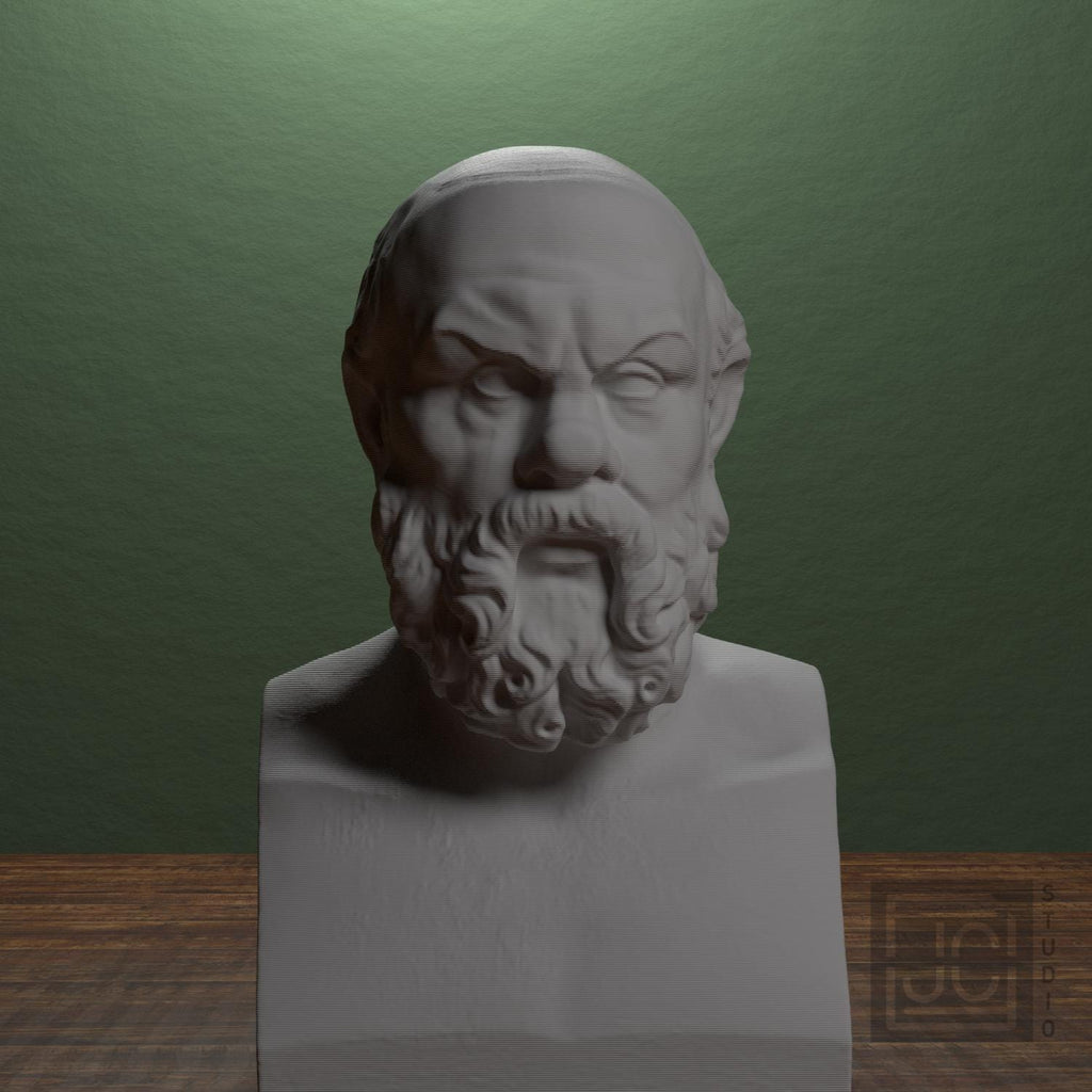Portrait of Socrates supplemental reference photo 1