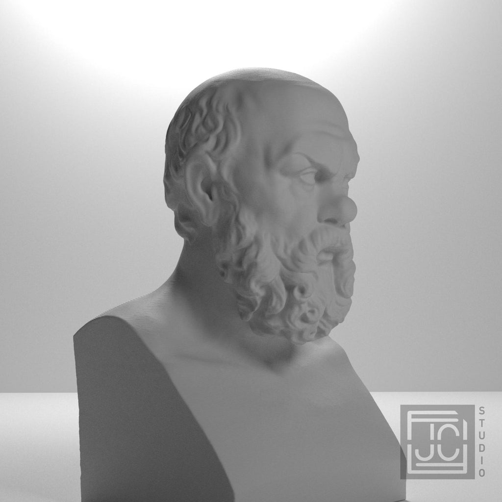 Portrait of Socrates supplemental reference photo 6