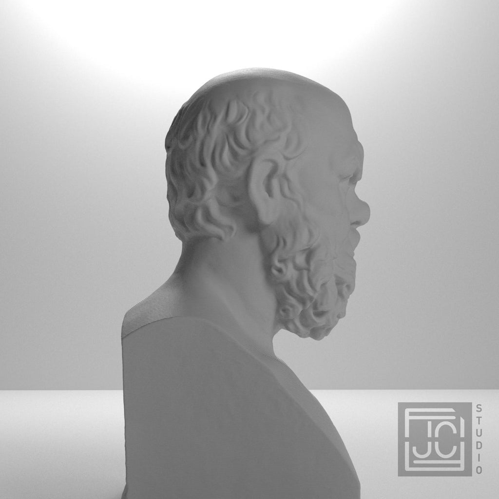 Portrait of Socrates supplemental reference photo 7