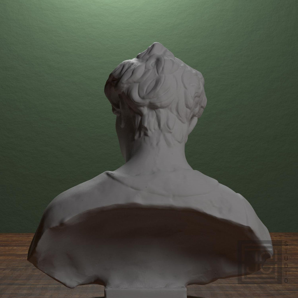 Bust of John the Baptist supplemental reference photo 3