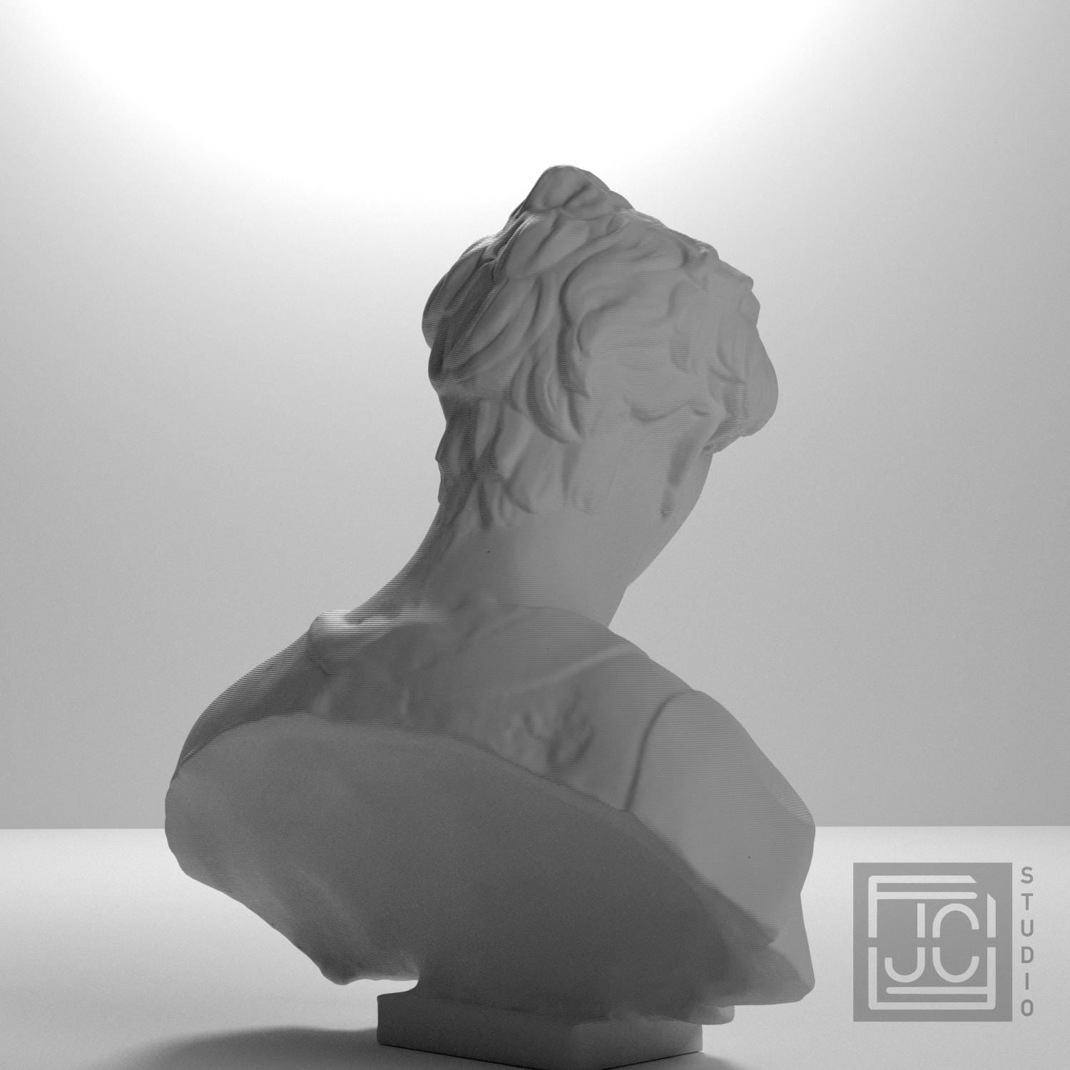 Bust of John the Baptist supplemental reference photo 8