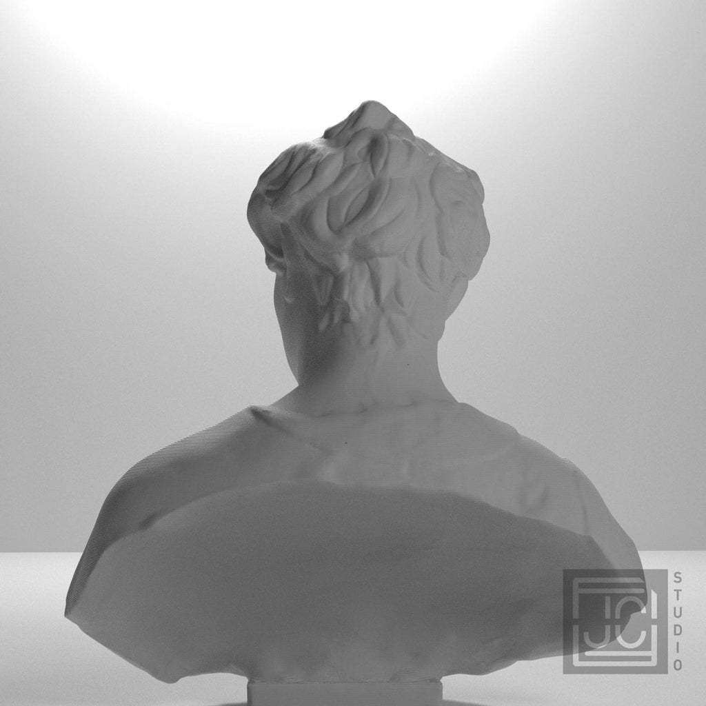 Bust of John the Baptist supplemental reference photo 9