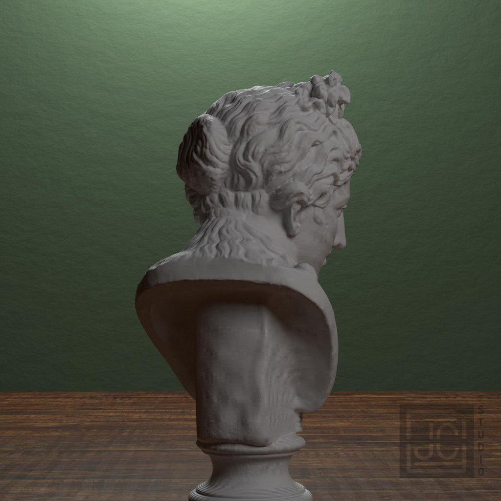 Bust of a woman supplemental reference photo 2