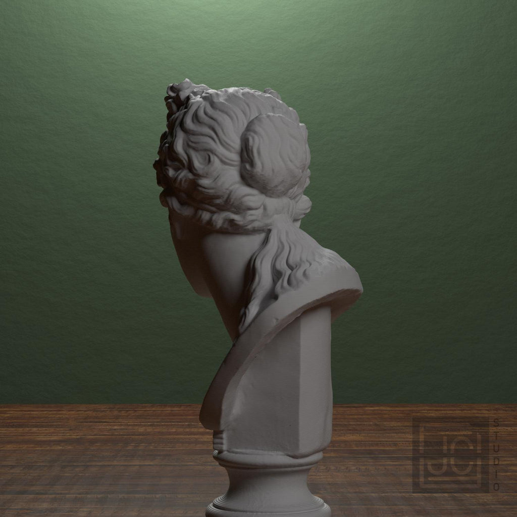 Bust of a woman supplemental reference photo 3