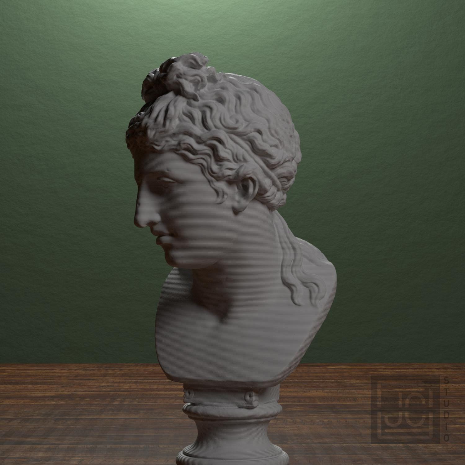 Bust of a woman supplemental reference photo 4