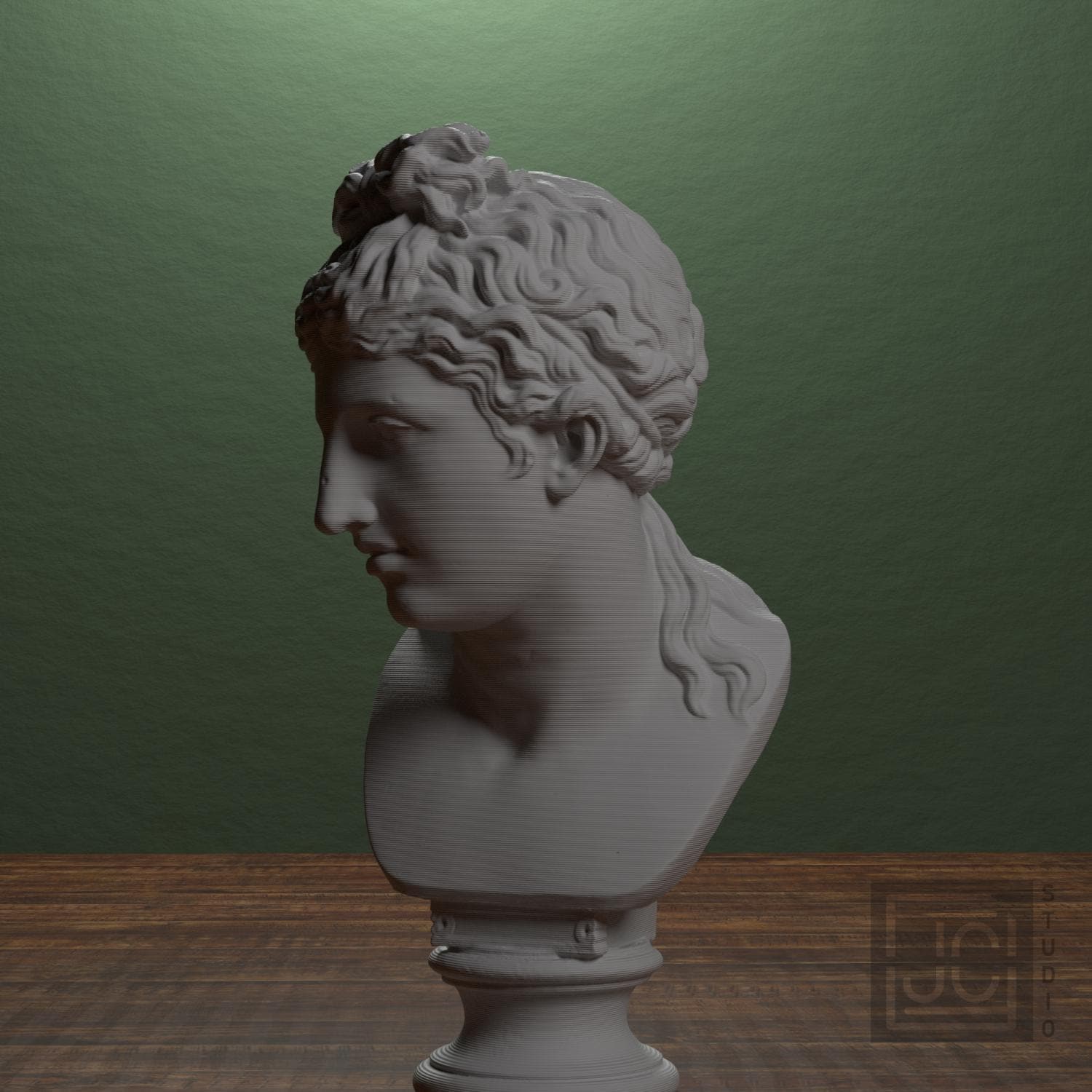 Bust of a woman supplemental reference photo 4