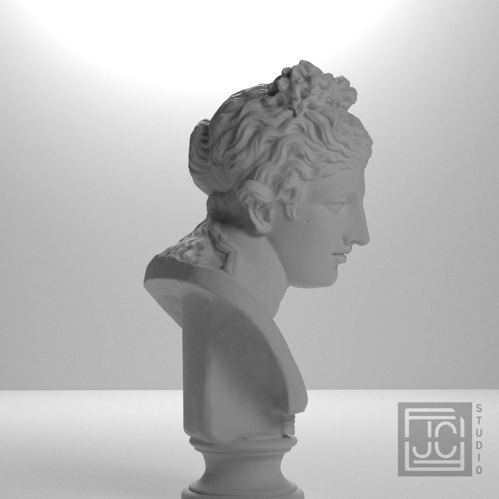 Bust of a woman supplemental reference photo 6
