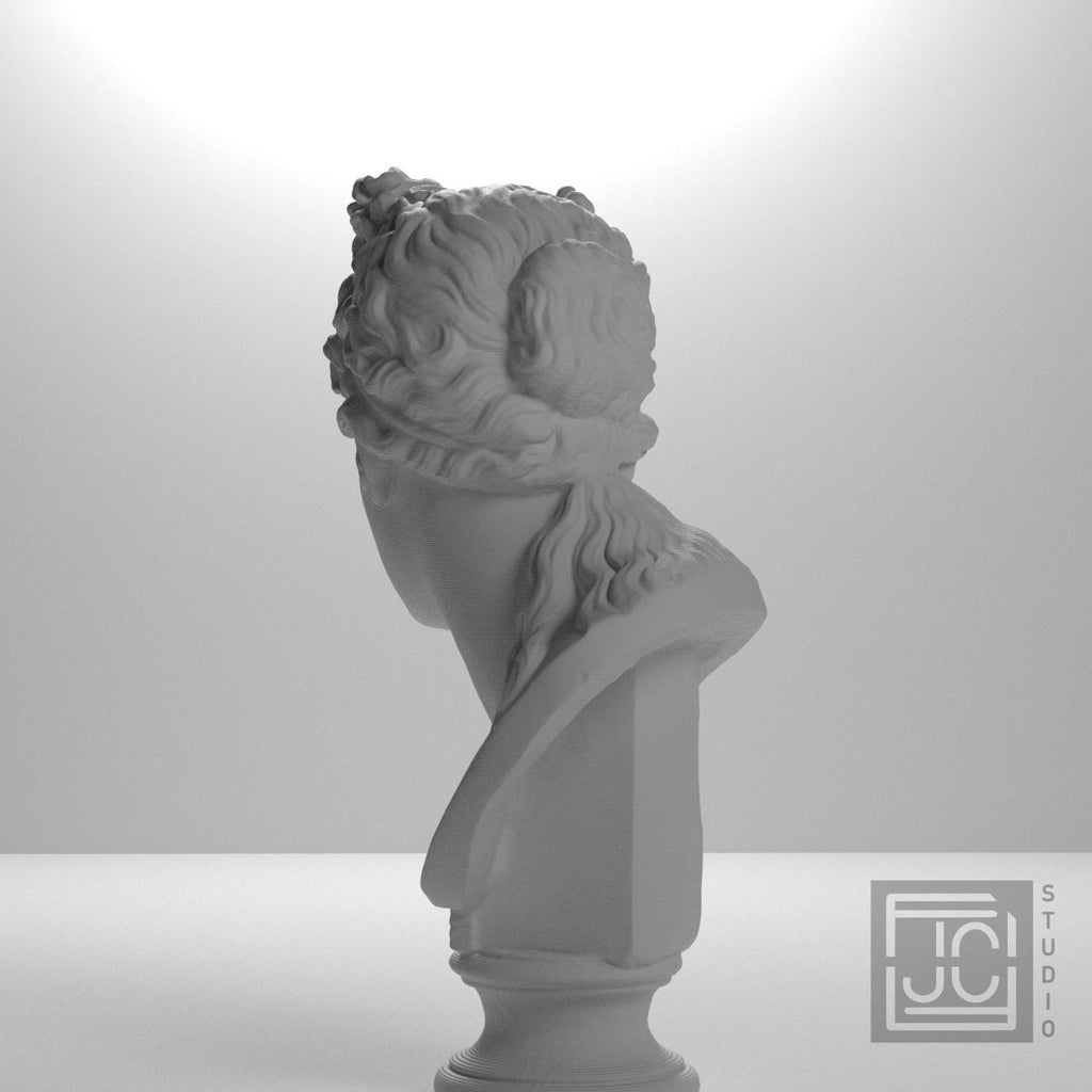 Bust of a woman supplemental reference photo 9