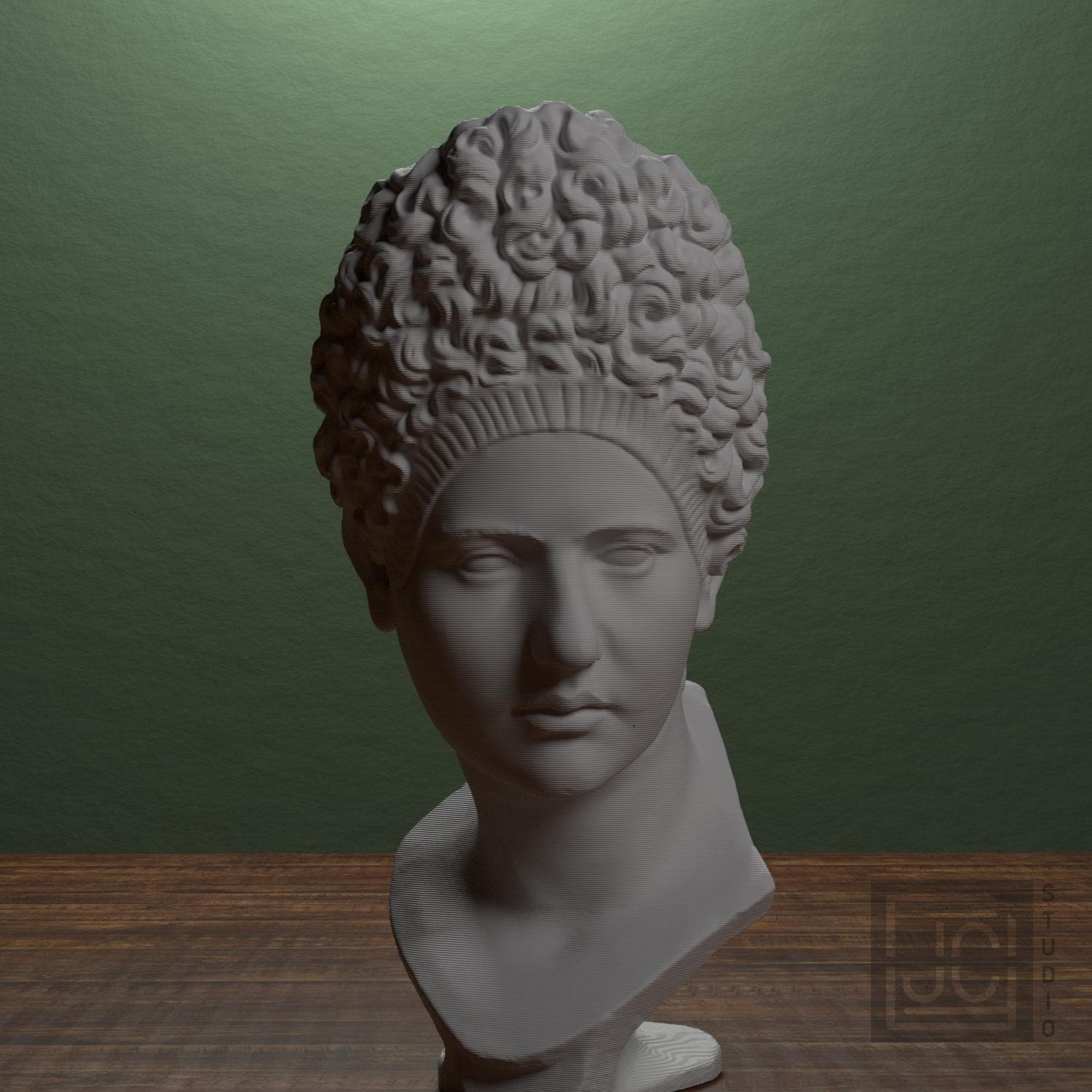 Bust of Iulia Titi supplemental reference photo 1