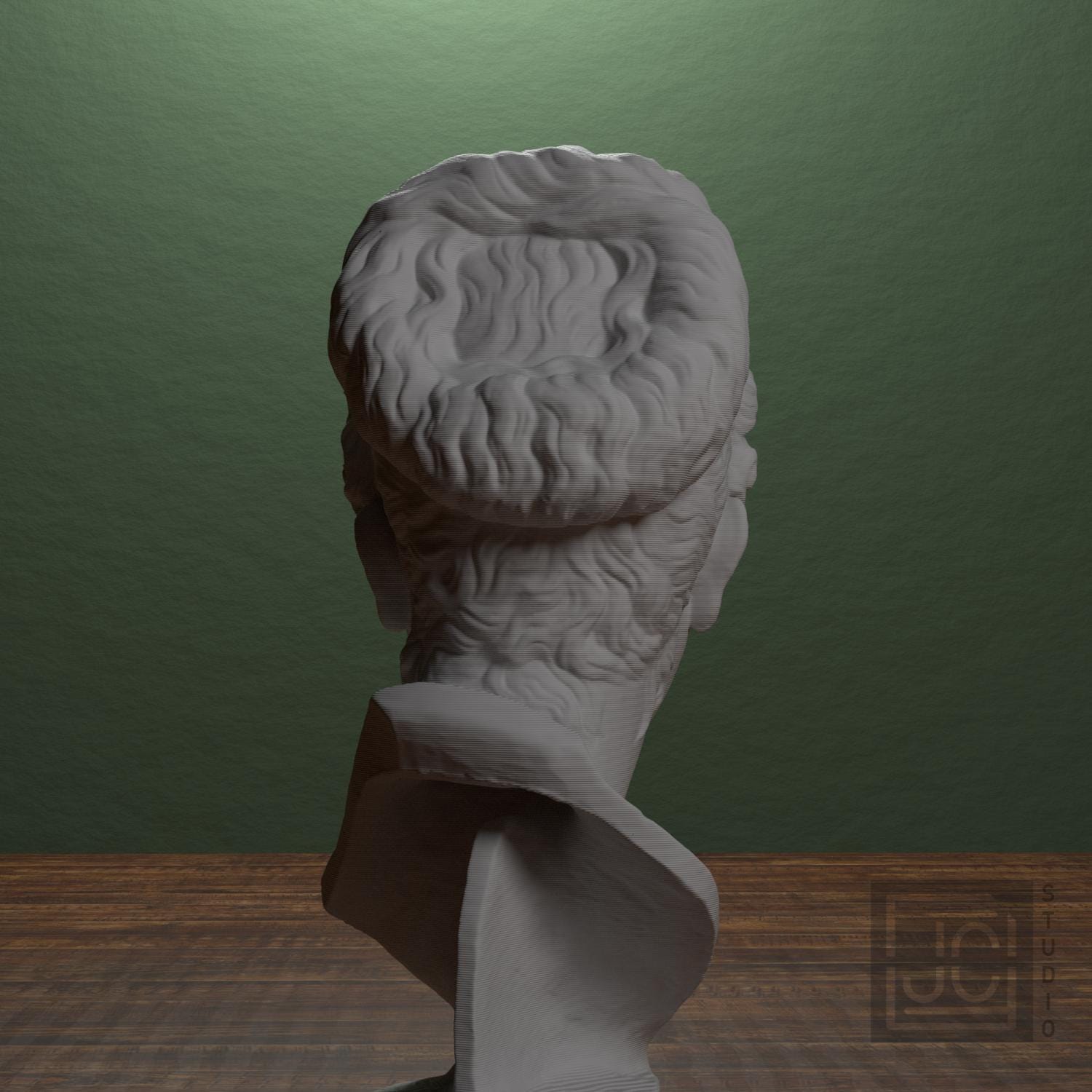 Bust of Iulia Titi supplemental reference photo 3