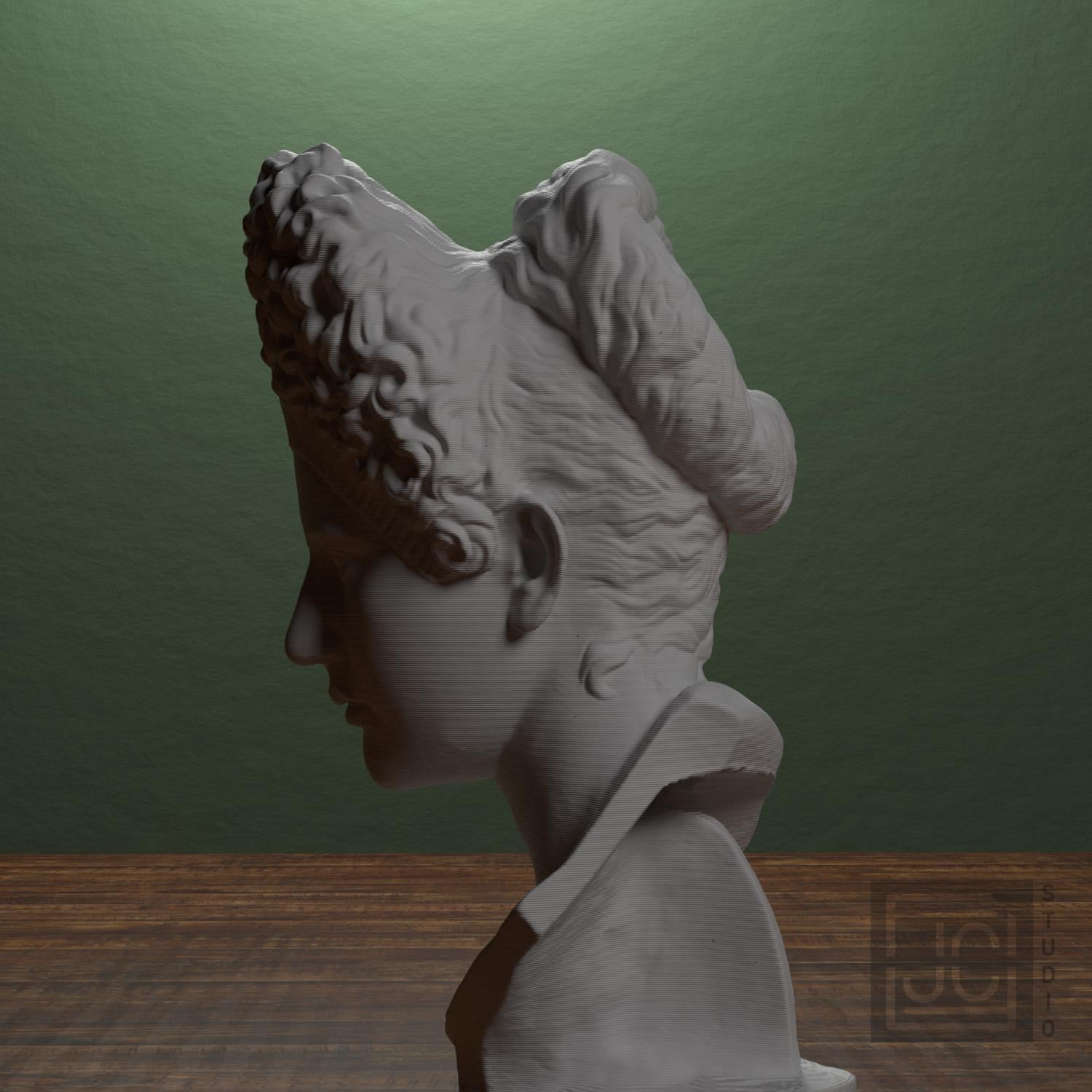 Bust of Iulia Titi supplemental reference photo 4