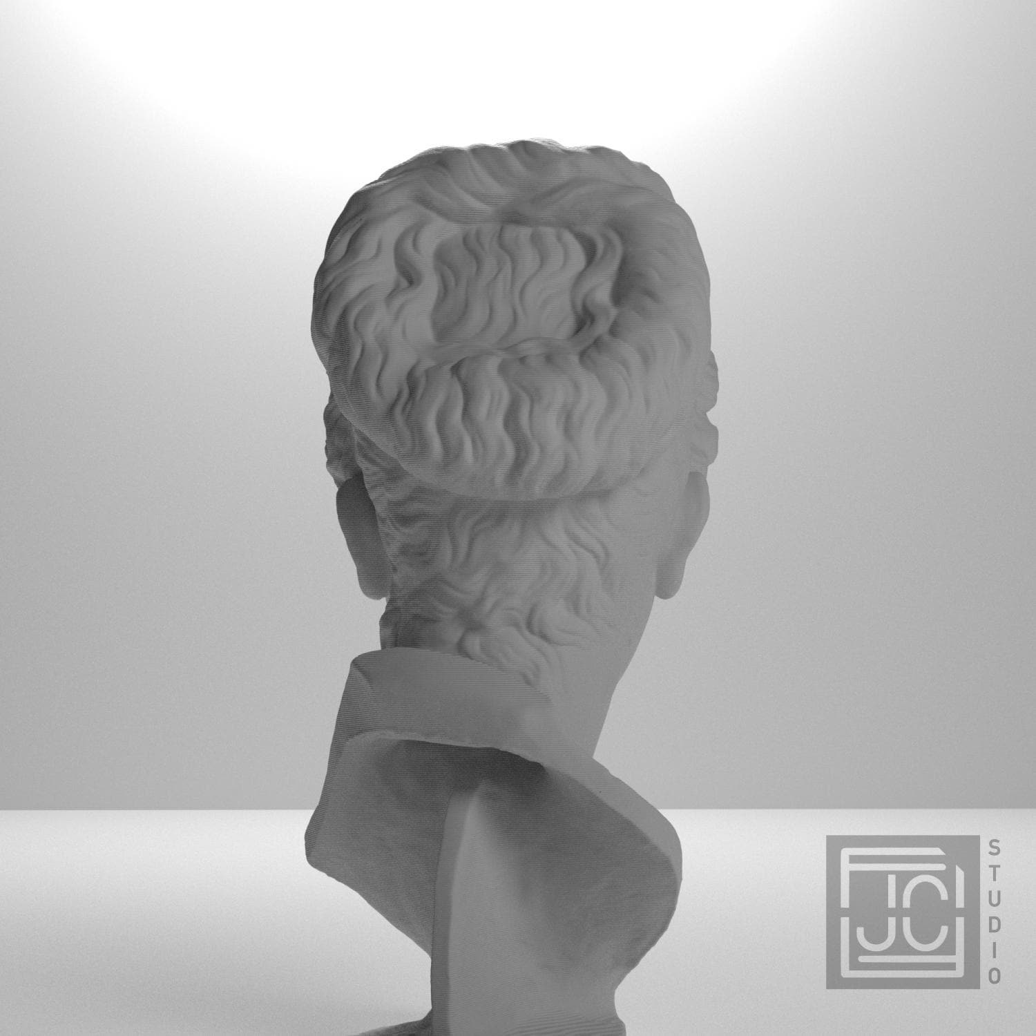 Bust of Iulia Titi supplemental reference photo 9