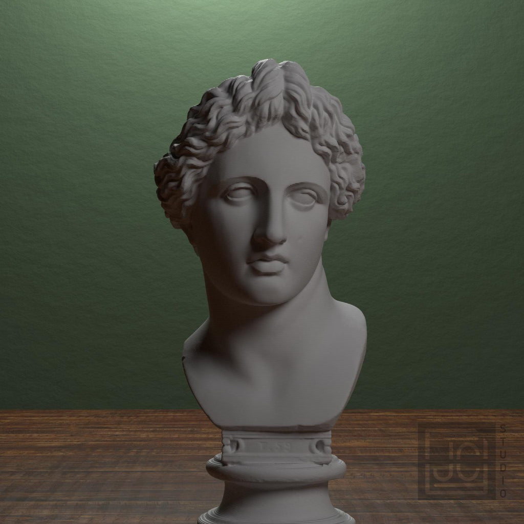 Bust of the Apollo Lykeios supplemental reference photo 1