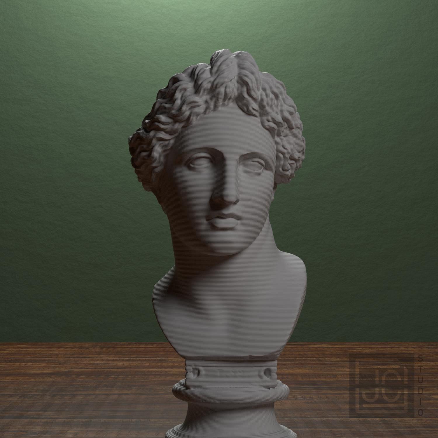Bust of the Apollo Lykeios supplemental reference photo 1