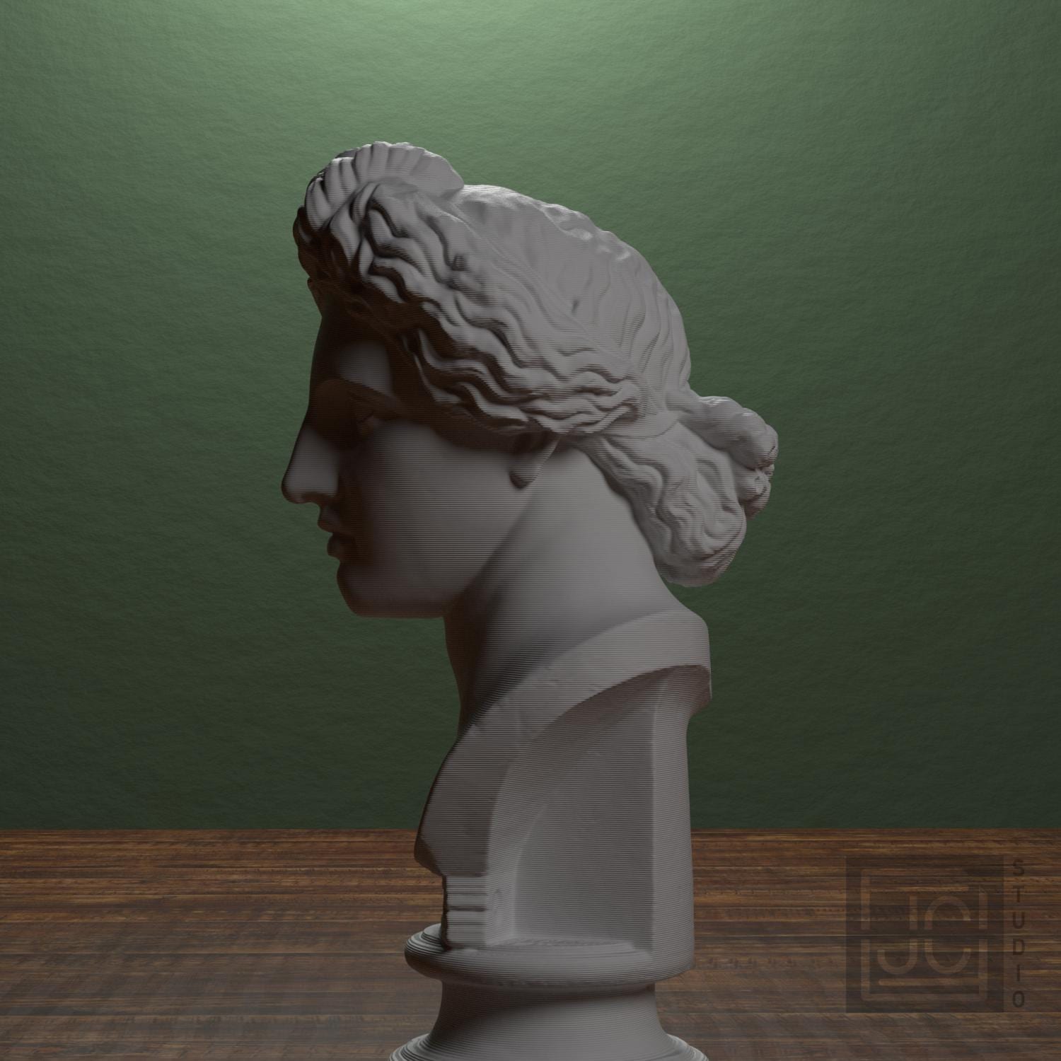 Bust of the Apollo Lykeios supplemental reference photo 4